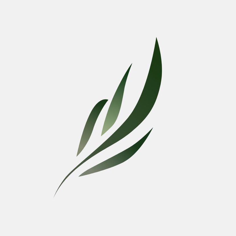 深夜读小说神器！爱书人必备工具，多品类好书全有 + 零广告不打断阅读